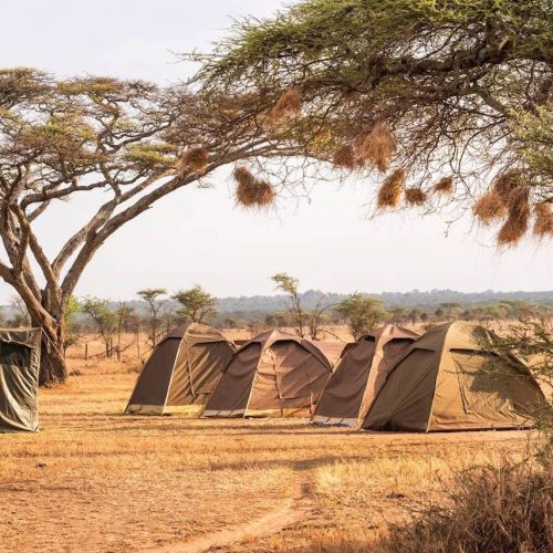 4-Day Tanzania Budget Camping Safari